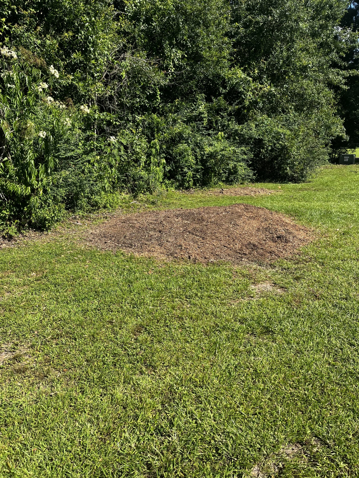 After stump grinding: cleared ground in the lawn